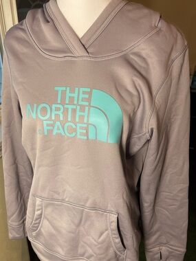 The North Face Dusty Mauve Hoodie with Aqua Logo
